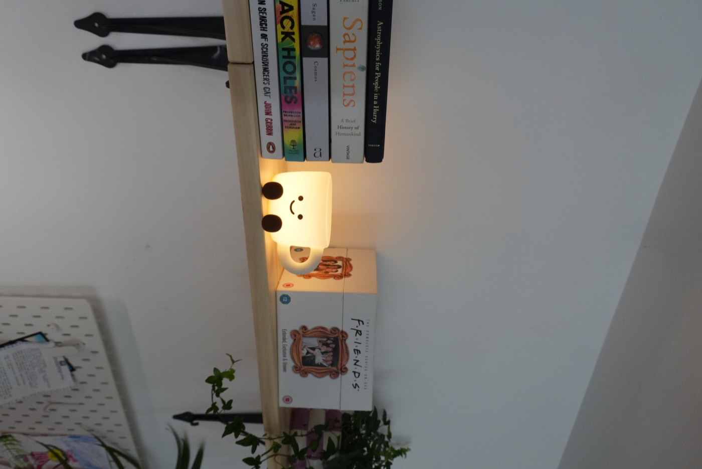 Aspen wall shelf styled with books, a coffee lamp and plants
