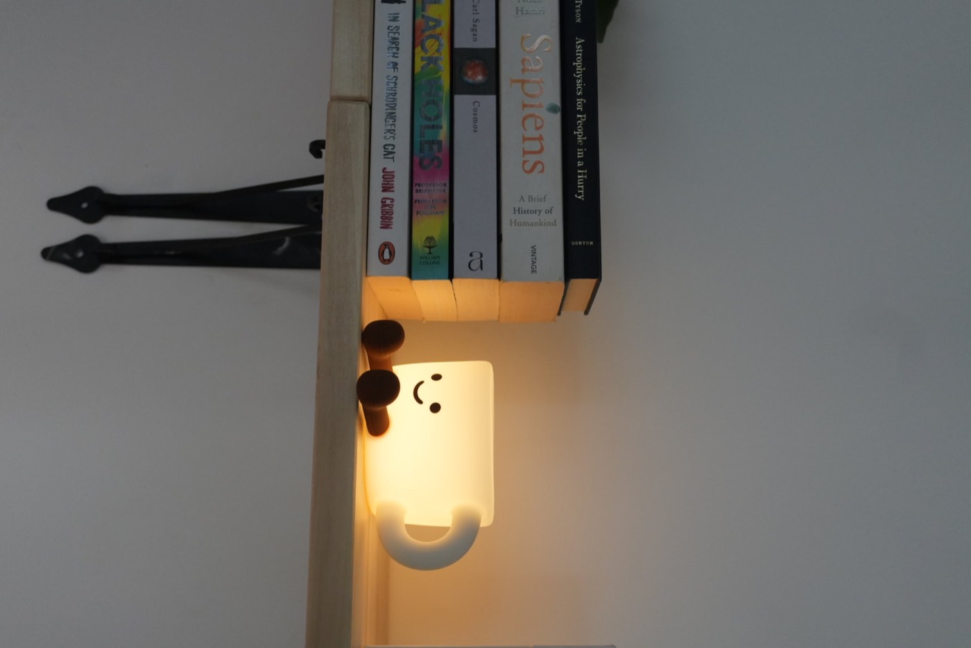 Glowing coffee-shaped lamp beside books on an aspen wall shelf